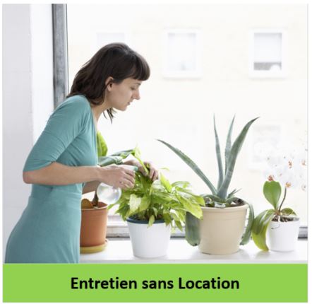 Entretien de plantes sans location, JeuxNet Végétal